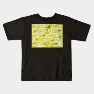 Onion skin cells under the microscope Kids T-Shirt